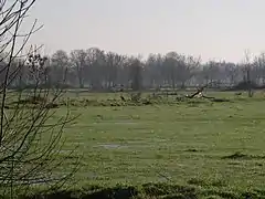 Le marais Audubon.