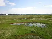 Marais avec un village en arrière-plan