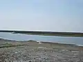 Le rivage vu de Faro
