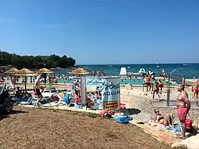 Mareda