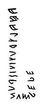 Transcription du texte précédent : « Ahal Trutitis dunum dede », Ahal Trutitis a donné en offrande.
