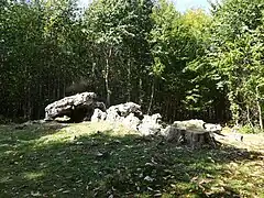 Vue générale.
