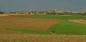 Martinshöhe