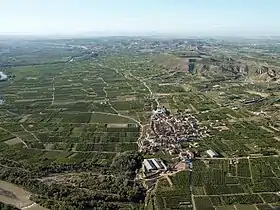 Massalcoreig