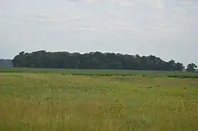 Sterling Township (Illinois)