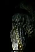 La méduse, symbole de la grotte, sortant de la noirceur du monde souterrain.