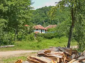Medveđica