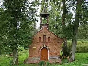 Medyny