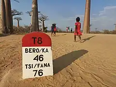 Allée des Baobabs.