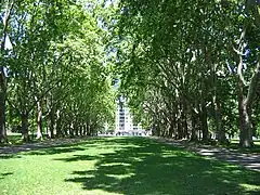 Jardins Carlton CBN.