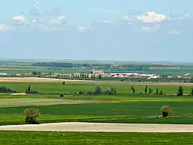 Meneses de Campos