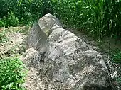 Menhir de la Pierre Saint-Martin.