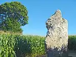 Menhir de La Pierre Longue.