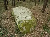 Le menhir couché de Men Plat.