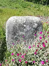 Menhir du Rocadel