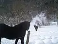 Mérens en hiver.