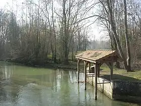 Mergey