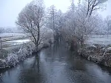 Sous la neige et le givre.