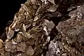 Mésitite - Traversella, Piemont, Italie (X × 8&nbsp;mm).