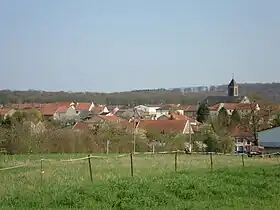 Metzeresche