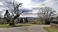 Hameau de Miallet et son tilleul