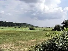 Sankt Michaelisdonn