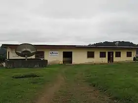 Mimongo