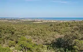 Mireval depuis la Montagne de La Gardiole à l'ouest dans la commune de Fabrègues.