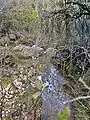 Le ruisseau de Miron.