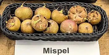 Fruit.