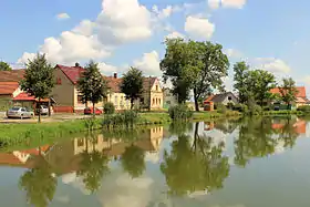 Močerady