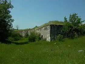 Błogosławie