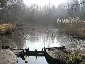 Image illustrative de l’article Moeraske