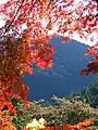Kurama (Kyoto).