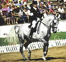 Un Hanovrien dans une épreuve de présentation aux Jeux Olympiques d'été de 1980.