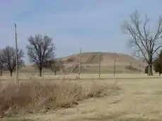 Monk's Mound.