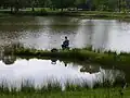 Pêche dans le petit étang