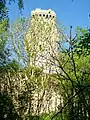 La ruine du donjon, avec l'enceinte assez bien conservée dans ce secteur.