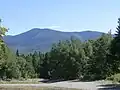 Le sommet du mont Gosford vu depuis un chemin forestier à quelques km au nord.