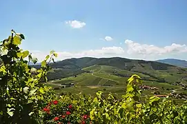Mont Brouilly et vignobles, au nord.