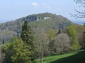 Vue du mont Terri.