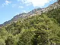 Montagnes dans la vallée de l'Asco.