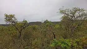 Montalvânia