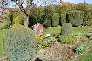 Maison aux insectes.