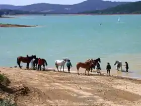 Le lac de Montbel