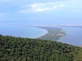 Giannella