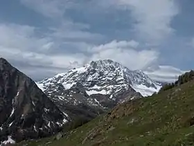 Le Monte Disgrazia.