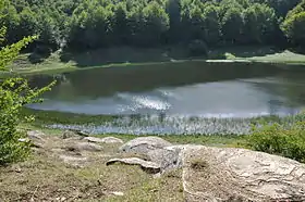 Accumoli