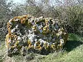 Menhir de l'Accommodement