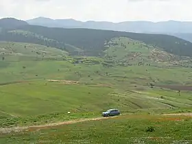 Oranie